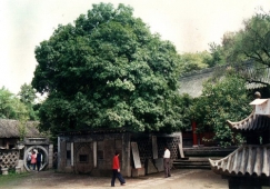 廣州到漢中物流專線，廣州到漢中貨運(yùn)公司