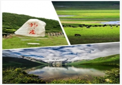 廣州到阿壩物流專線，專業(yè)運輸廣州至阿壩貨運公司