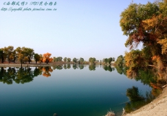 廣州到阿克蘇物流專線，廣州到新疆阿克蘇貨運公司