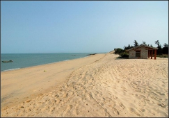 廣州到東方物流專線，廣州到東方貨運(yùn)公司