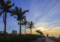 河源到朝陽(yáng)物流專線|河源到朝陽(yáng)貨運(yùn)公司|河源到朝陽(yáng)物流